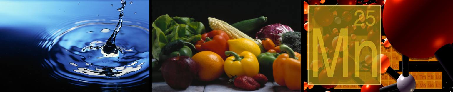 bioterrain-header-pic