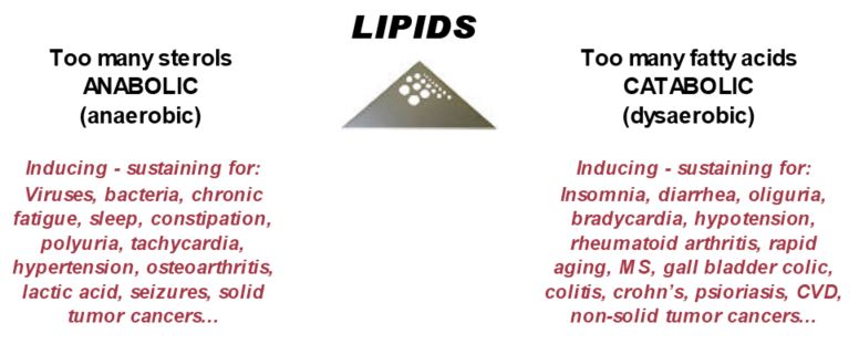 flow-lipids