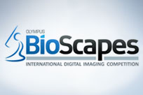 olympus_bioscapes