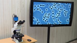 For Big Presentations