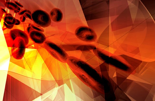 home header blood pic