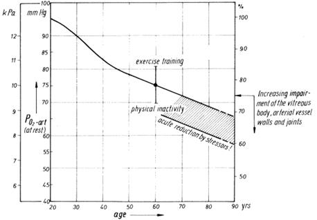 vo2t-02-aging-graph