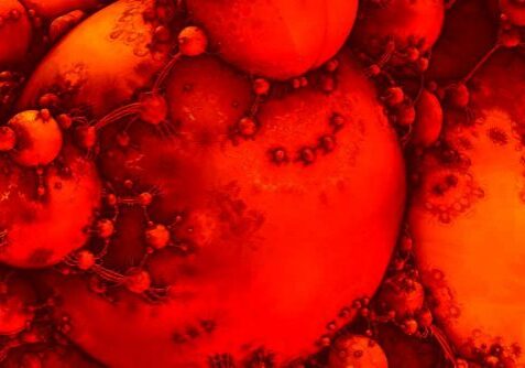 blog-blood-and-parasites-2