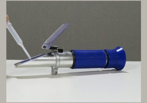 blog-measuring-fruit-vegetable