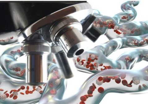 blog-primo-under-microscope-2